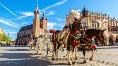 Learn Polish Online – Level 1 Learn Polish Online – Level 1