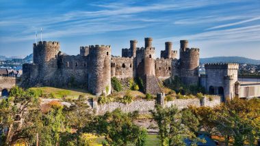 Learn Welsh Online – Level 2