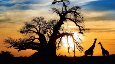 Learn Zulu Online – Level 3 Learn Zulu Online – Level 3